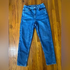 American eagle curvy mom jeans